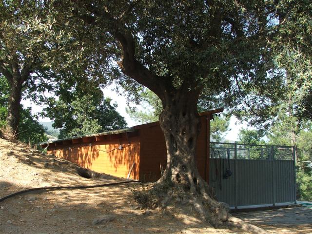 Des b�timents ombrag�s �quip�s professionnellement.