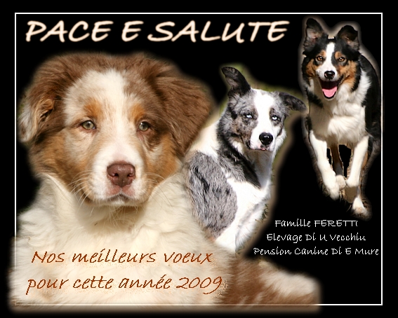 Tous nos voeux pour cette nouvelle ann�e ! 