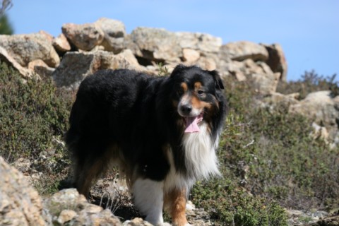 Vic qui r�cup�re petit � petit !