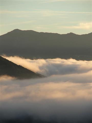 La pension se situe à 600 m. d'altitude ce qui assure bien être aux chiens l'été ! Les boxs sont chauffés en hiver.